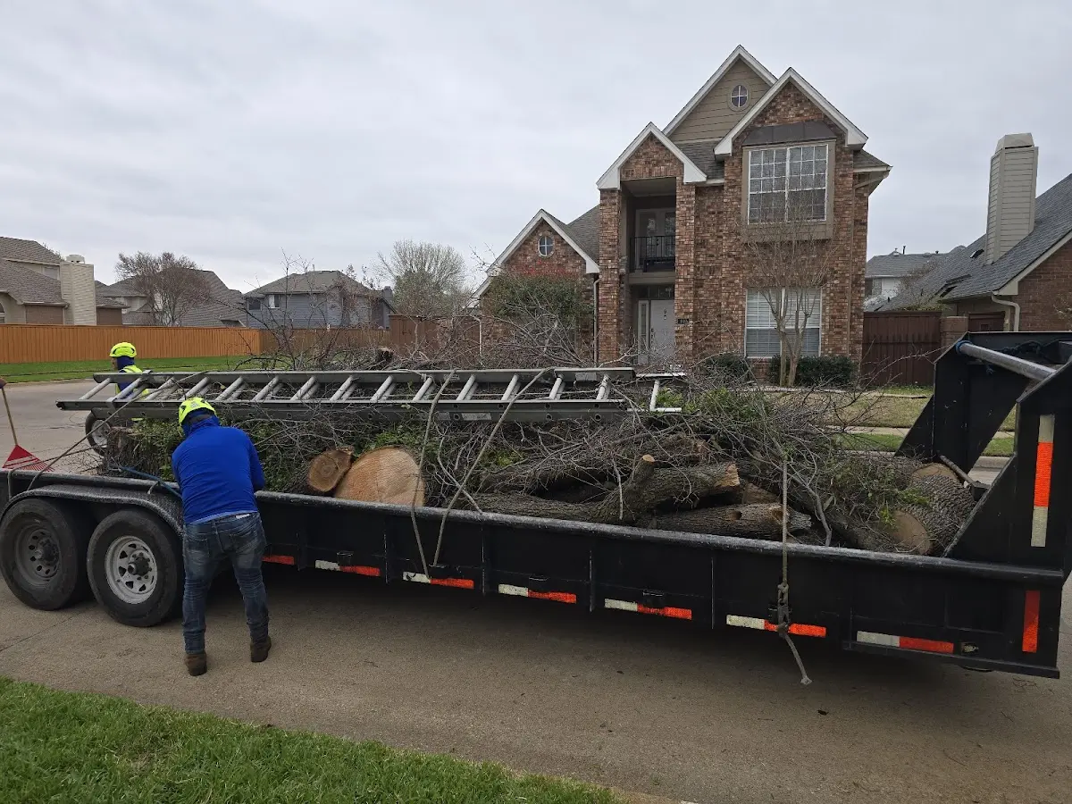 Expert Tree Removal with proper safety equipment in Juneau